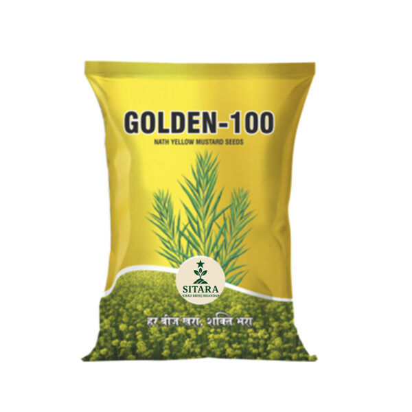 Saffron Sunset Suit Set